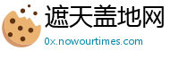 遮天盖地网
